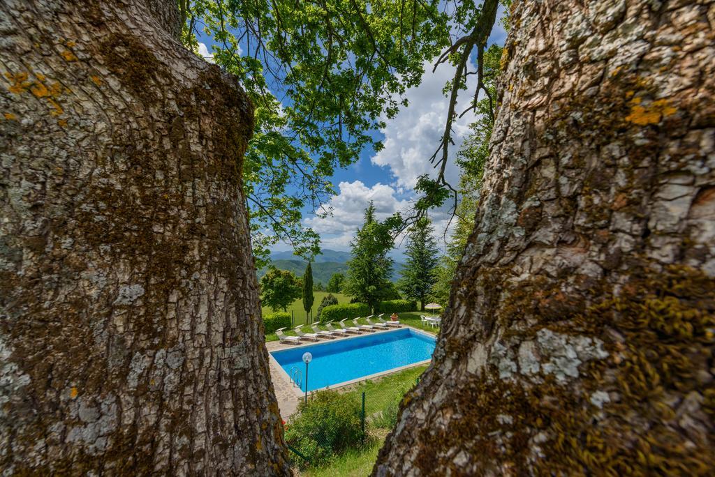Agriturismo Casapasserini Londa Exteriör bild